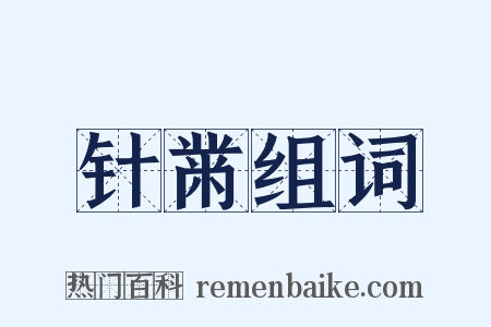 针黹组词是什么意思的图片